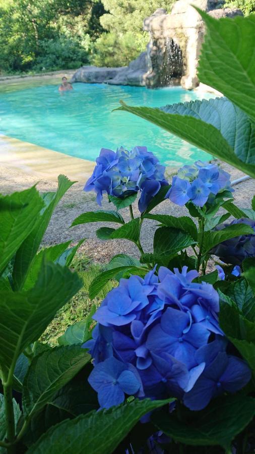 Slow House Y La Cabana De Miss Slower Nigrán エクステリア 写真